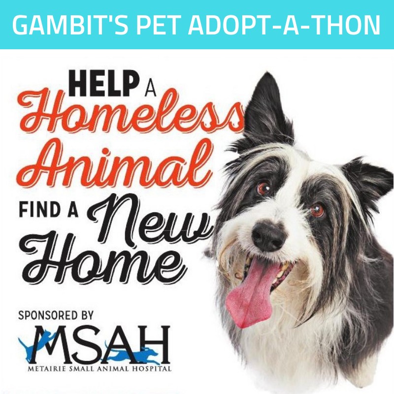 Gambit's Summer 2019 Pet Adopt-A-Thon Tickets | Gambit New Orleans | , |  Deadline to donate: July 3 | Gambit New Orleans